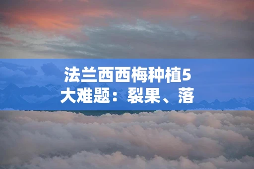 法兰西西梅种植5大难题：裂果、落花落果、流胶…一文说透解决方案