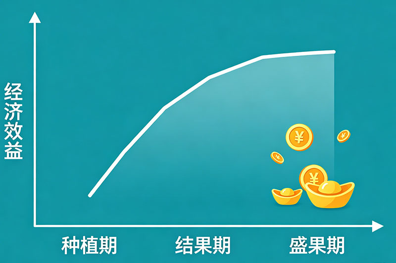 西梅结果曲线