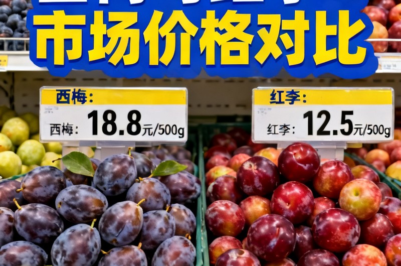 西梅和红李有什么区别？一次说清 - 吃法和用途对比