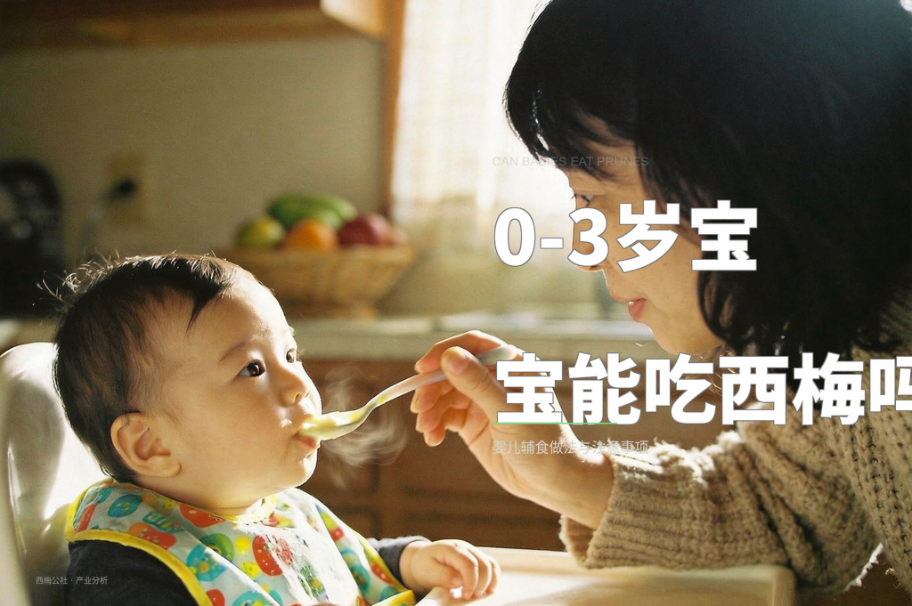 0-3岁宝宝能吃西梅吗？婴儿辅食做法与注意事项