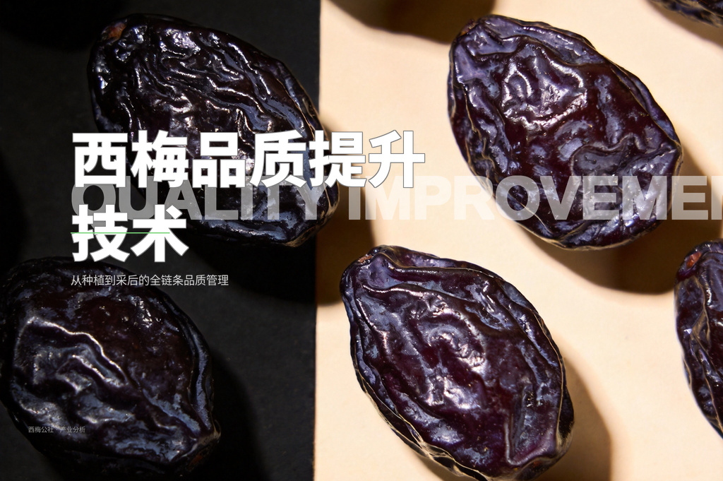 西梅品质提升技术:从种植到采后的全链条品质管理 西梅品质提升技术 - 配图