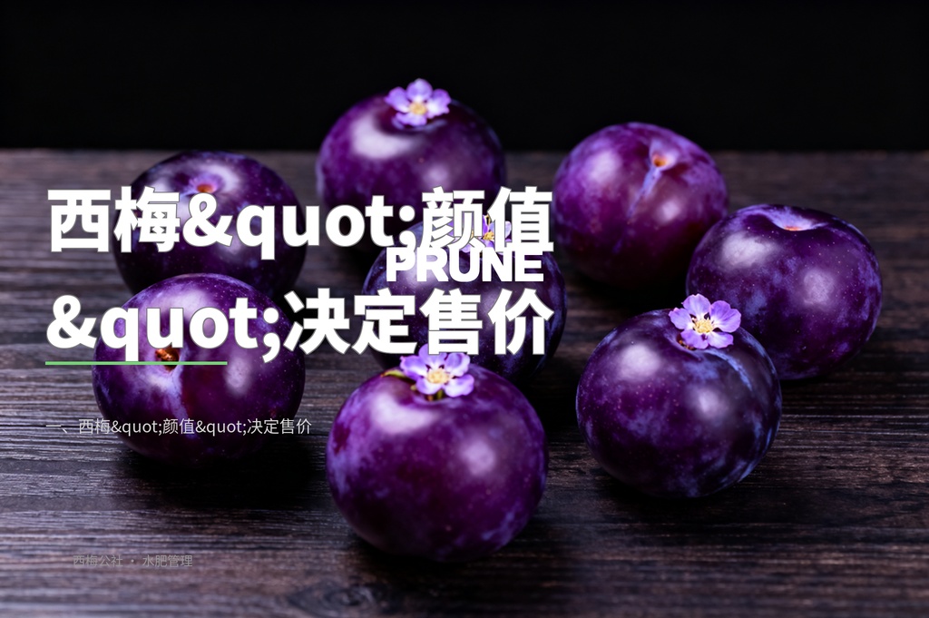 西梅着色期管理：如何让西梅颜色更紫更艳