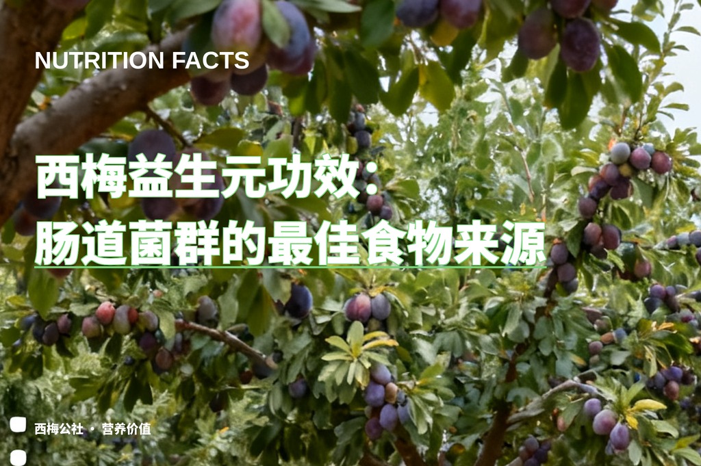 西梅益生元功效：肠道菌群的最佳食物来源