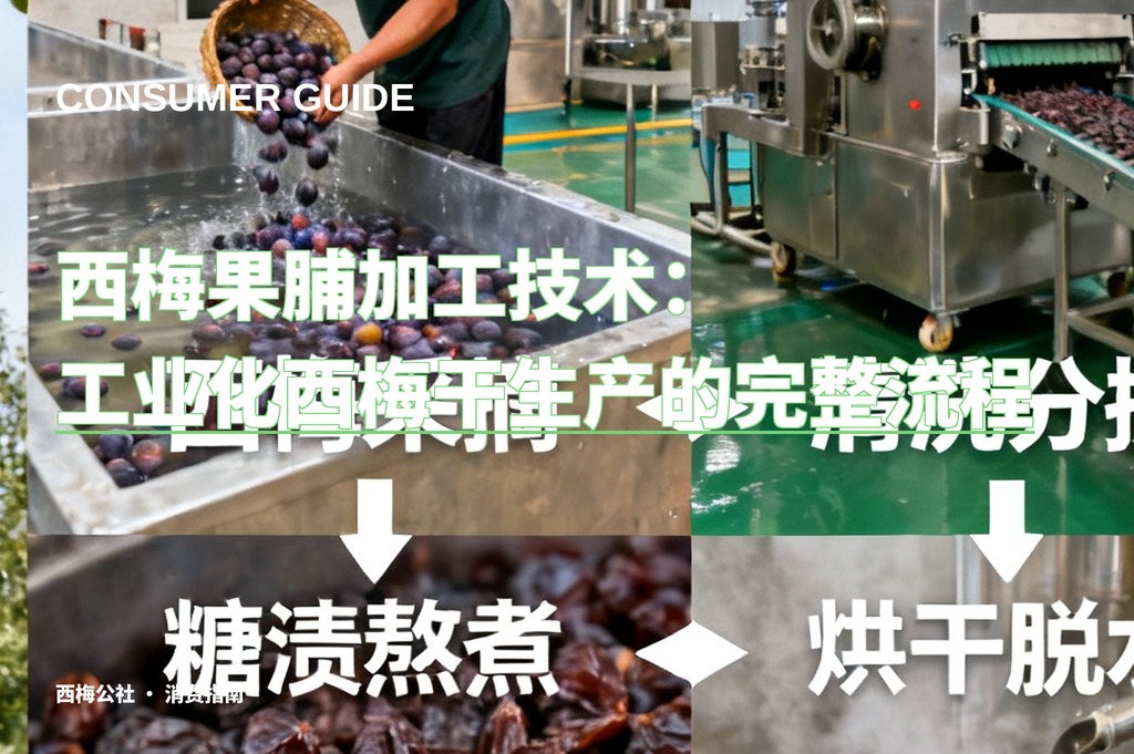 西梅果脯加工技术：工业化西梅干生产的完整流程