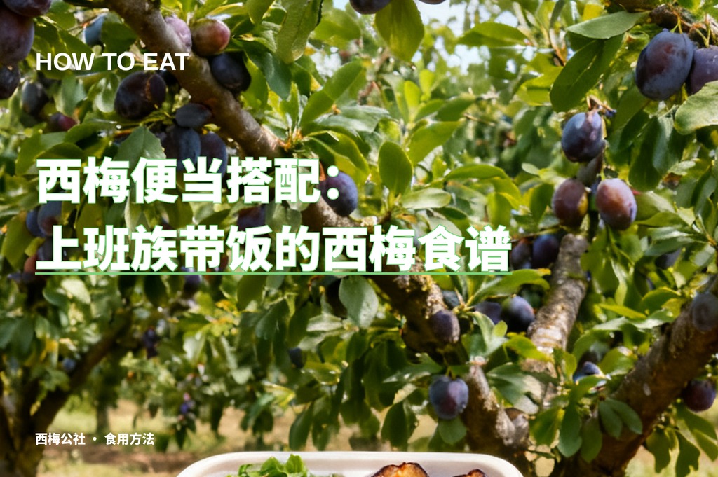 西梅便当搭配：上班族带饭的西梅食谱