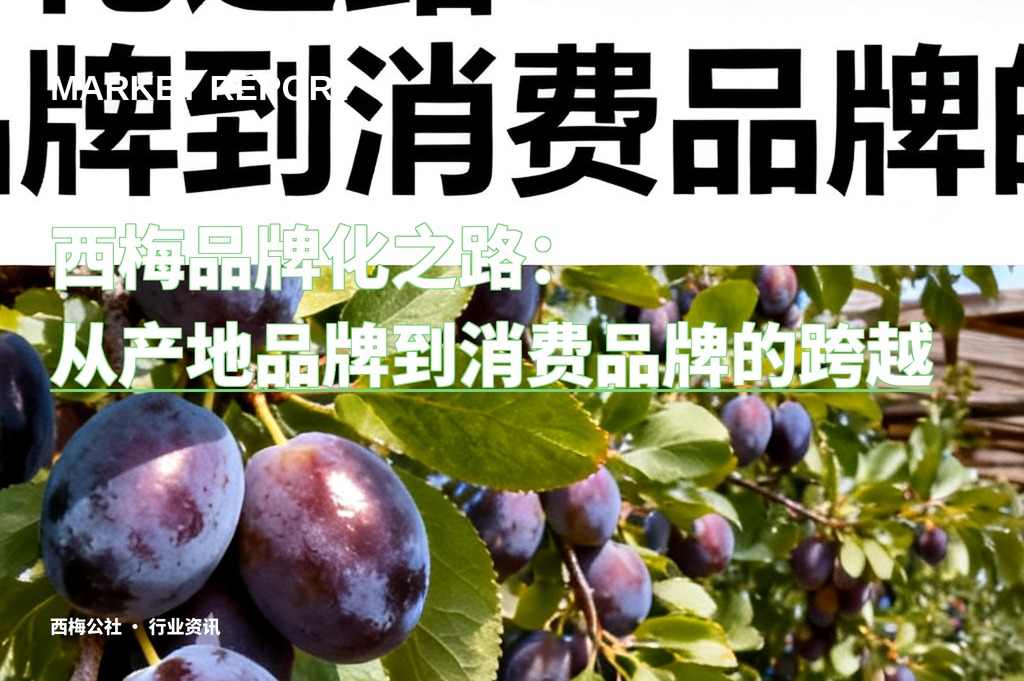 西梅品牌化之路：从产地品牌到消费品牌的跨越