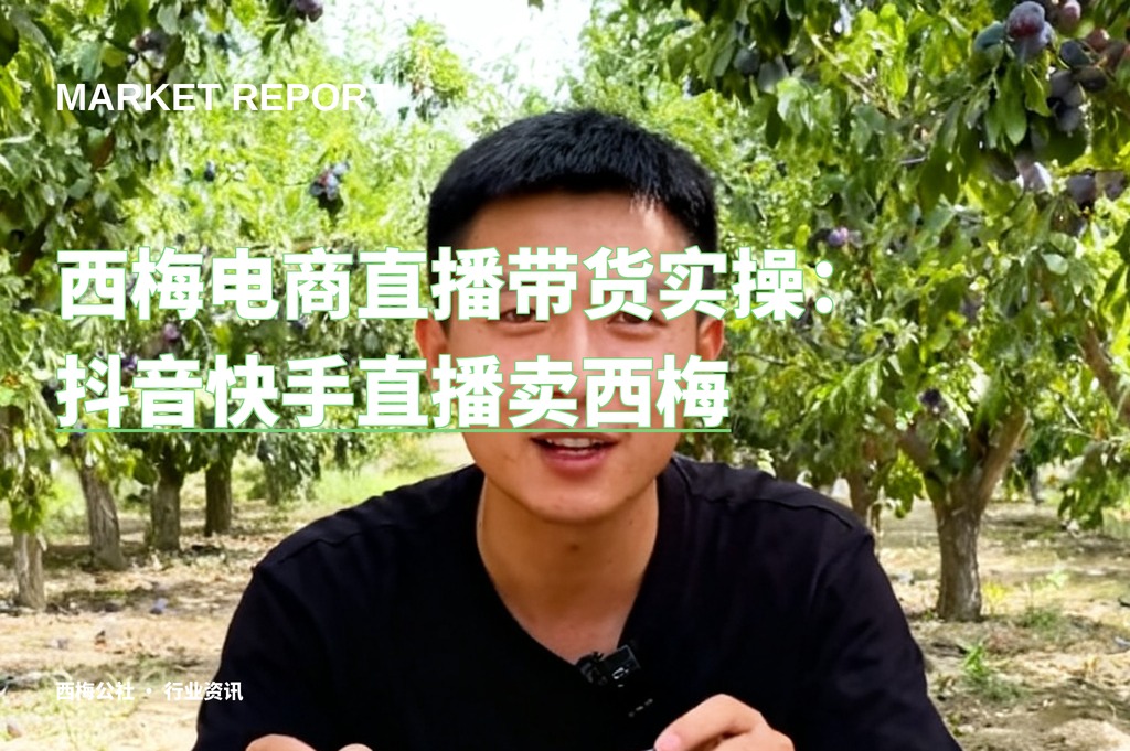 西梅电商直播带货实操：抖音快手直播卖西梅