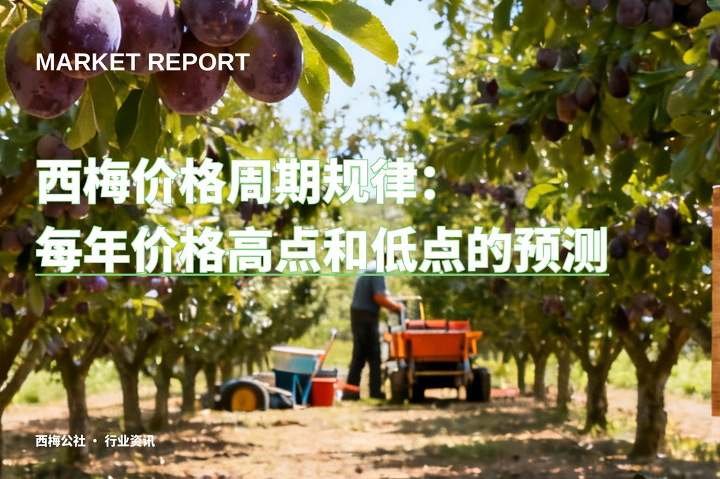 西梅价格周期规律：每年价格高点和低点的预测
