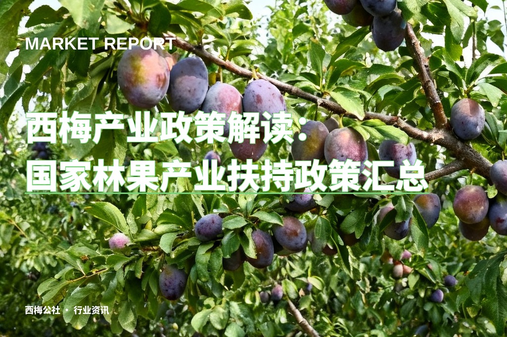西梅产业政策解读：国家林果产业扶持政策汇总