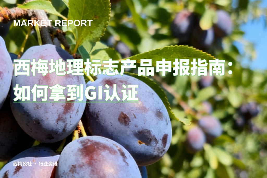 西梅地理标志产品申报指南：如何拿到GI认证