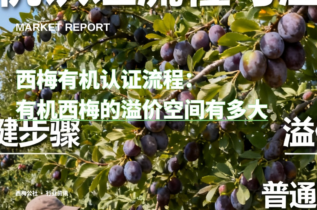 西梅有机认证流程：有机西梅的溢价空间有多大